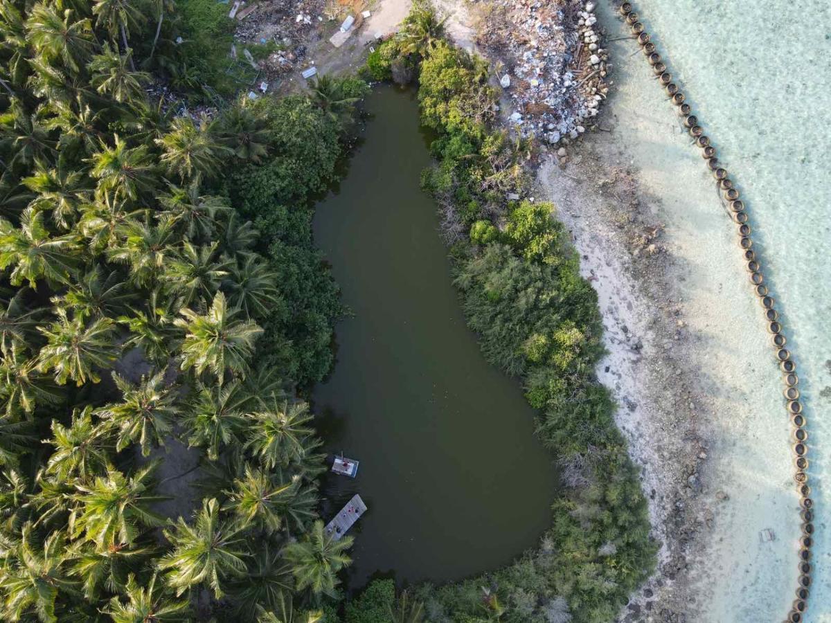 Finolhu Beach Guest House فيليدهو المظهر الخارجي الصورة